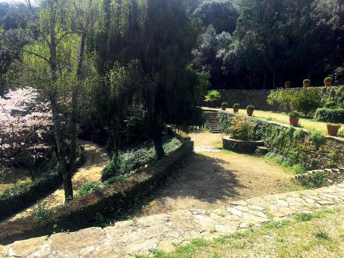 Reforma del funicular